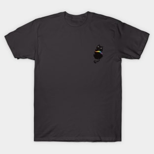 Rainbow Cat T-Shirt